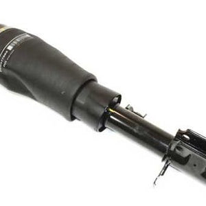 RNB000740W - Shock Absorber RH L322 OEM BWI