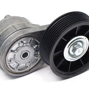 ERR6439G - tensioner DAYCO