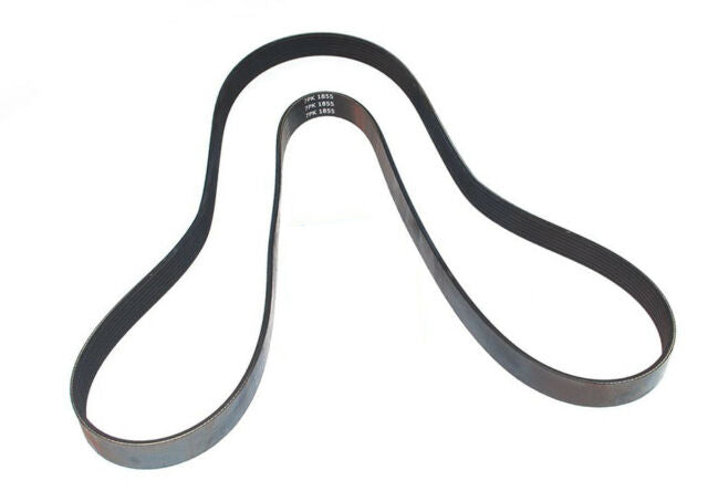 ERR6191 - Fan Belt OEM DAYCO by DaycoEngine Part Land Rover Range Rover Discovery