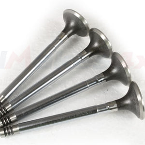 ERR1230 - Exhaust valve