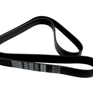 PQS000100D - Belt alternator RR L322 and 2,8 TGV OEM DAYCO 1629 LONG