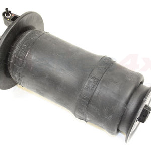 RKB101460 - spring air-suspension P38 rear DUNLOP