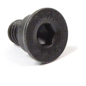 SDG100000L - special screw M8 x 14