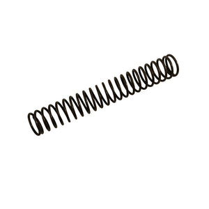 217445 - Spring