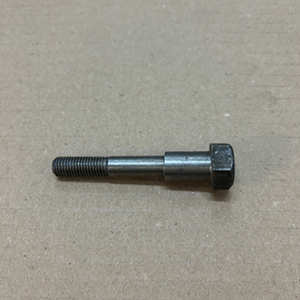 247199LR - BOLT - BANJO