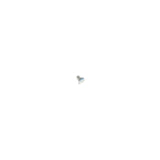 302818 - Rivet