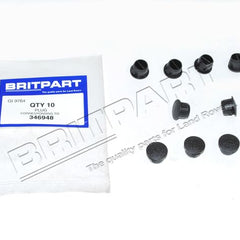 346948 - Blanking Plug