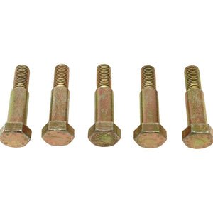 346989 - HINGE BOLT