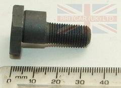90575807 - Pedal Box Pivot Bolt