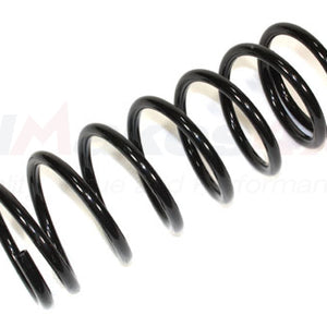 REB101340 - Front road coil spring Disco 2