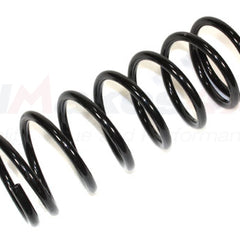 REB101340 - Front road coil spring Disco 2