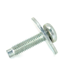 AYP500010 - Screw and washer