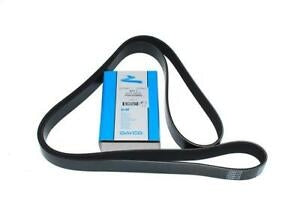 PQS101500D - Auxiliary Drive Belt – Td5 – Alternator  by DaycoEngine Part Land Rover Range Rover Defender, Discovery