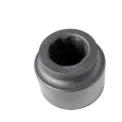ANR6971 - Bush