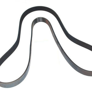 ERR6191 - Fan Belt OEM DAYCO