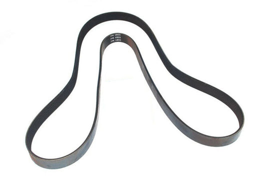 ERR6191 - Fan Belt  by DaycoEngine Part Land Rover Range Rover Discovery