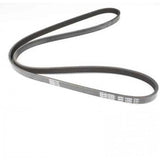 ERR2678 - belt polyvee 3.9V8 1253mm OEM DAYCO