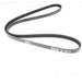 ERR2678 - Polyvee Belt 3.9V8 1253mm  by DaycoEngine Part Land Rover Range Rover Defender, Discovery, Range Rover
