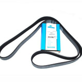 PQS000030D - Drive Belt – 300TDi – 1595mm