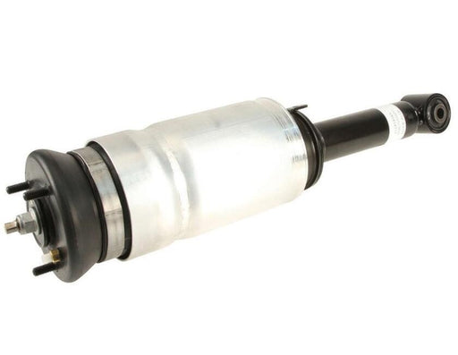 LR032646W - Shock Absorber – Front – Air Suspension  by BWI, DunlopSteering or Suspension Part Land Rover Range Rover Discovery