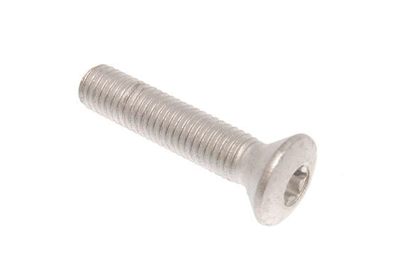 BYG100140L - Hinge bolt Defender Torx  by PR2 AllmakesBody Part Land Rover Range Rover Defender