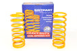 DA4198 - Coil Spring +40 - Pair - Front - Discovery 2  Land Rover Range Rover 
