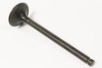 EAC1550-G - Exhaust Valve  by AE Land Rover Range Rover 