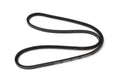 EAC1605-G - Drive Belt  by Dayco Land Rover Range Rover 