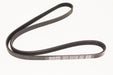 EAC9898-G - Drive Belt  by Dayco Land Rover Range Rover 