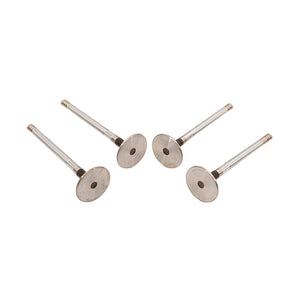 ERR1156G - Valve exhaust 200/300Tdi OEM