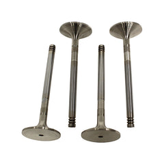 ERR1157 - valve inlet 200Tdi replacement