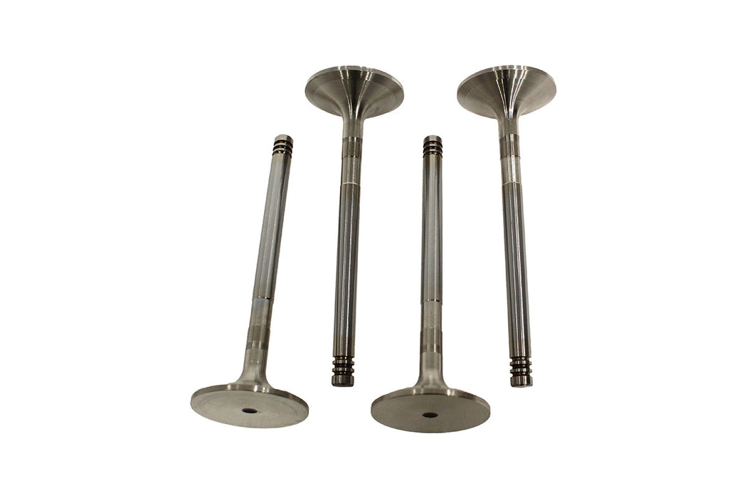 ERR1157 - valve inlet 200Tdi replacement Engine Part Land Rover Range Rover Defender, Discovery, Range Rover