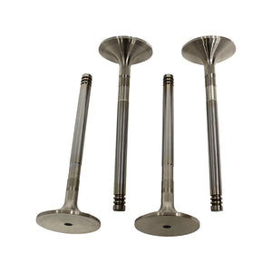 ERR1157 - valve inlet 200Tdi replacement