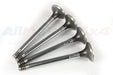 ERR1230 - Exhaust Valve - Each Engine Part Land Rover Range Rover Defender, Series