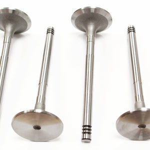 ERR3777 - valve inlet OEM 300tdi