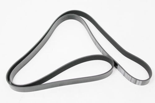 ERR4460D - BELT - POLLYVEE - PETROL  by DAYCO Land Rover Range Rover 