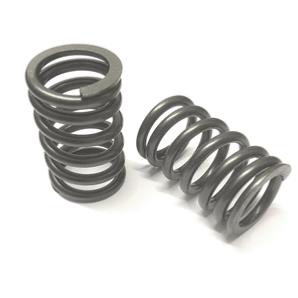 ERR4628 - Valve Spring – V8 Engine Part Land Rover Range Rover Discovery, Range Rover