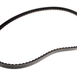 ERR810D - Drive Belt – 200TDi