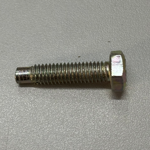GG106252LR - screw gg106251l