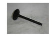LGH100990L - Cylinder Inlet Valve Engine Part Land Rover Range Rover 