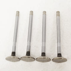 LGH101190L - Exhaust Valve – 1.8L Petrol