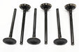 LGH101360L - Exh Valve-Cylinder H  by PR2 Allmakes OEEngine Part Land Rover Range Rover 