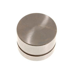 LGR000050L - Tappet Hydraulic Replacement