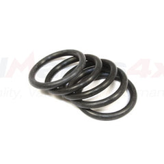 LLO100000 - O-ring ontluchter 300tdi