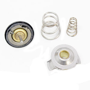 LR005765G - THERMOSTAT ASSY