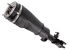 LR032573PR - Shock Absorber & Air Spring  by ProEvo+Steering or Suspension Part Land Rover Range Rover 