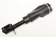 LR032575W - Damper - Assembly  by BWI Land Rover Range Rover 