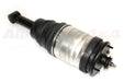 LR041110 - Macpherson Strut  by BWISteering or Suspension Part Land Rover Range Rover Range Rover Sport