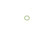 LR044465 - O Ring  by Allmakes Land Rover Range Rover 