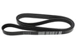 LR062006G - Belt - Accessory Drive  by Dayco Land Rover Range Rover 